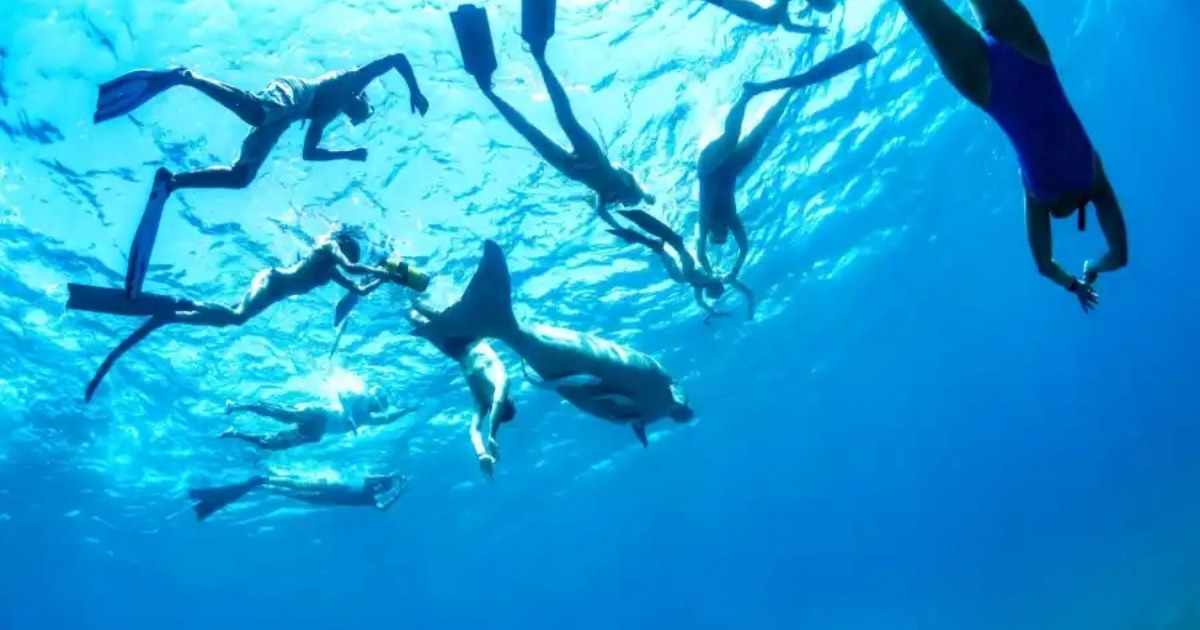 Snorkeltrip van soma bay naar Marsa Mubarak