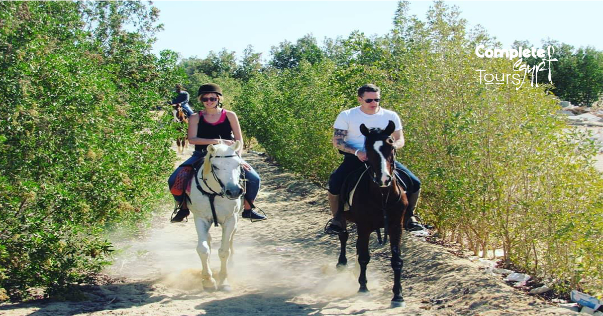 Paardrijden in Egypte